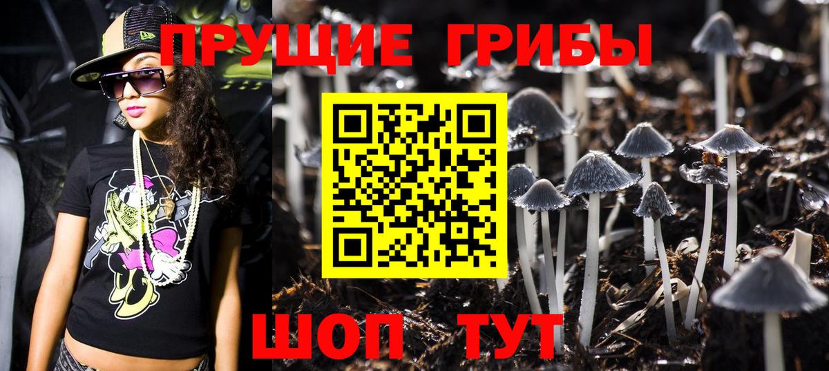 Галлюциногенные грибы GOLDEN TEACHER  Вход с VPN  Полевской  Псилоцибиновые грибы мухоморы 
