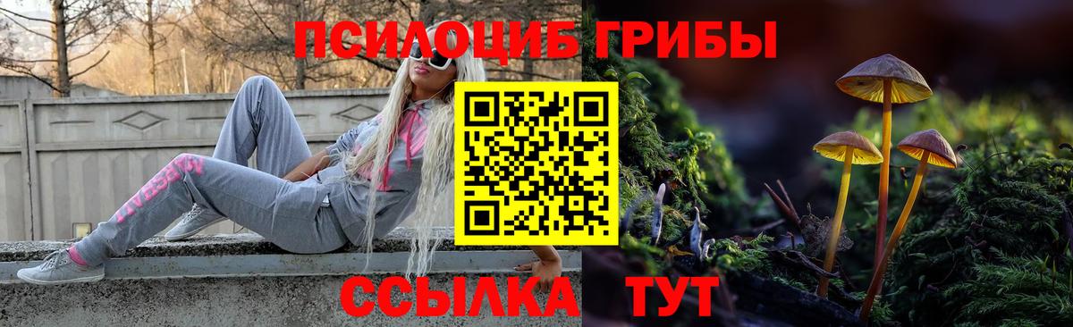Галлюциногенные грибы ЛСД Полевской